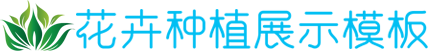 凯发手机