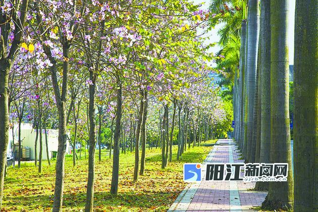 从农家“方寸地”到致富“聚宝盆”