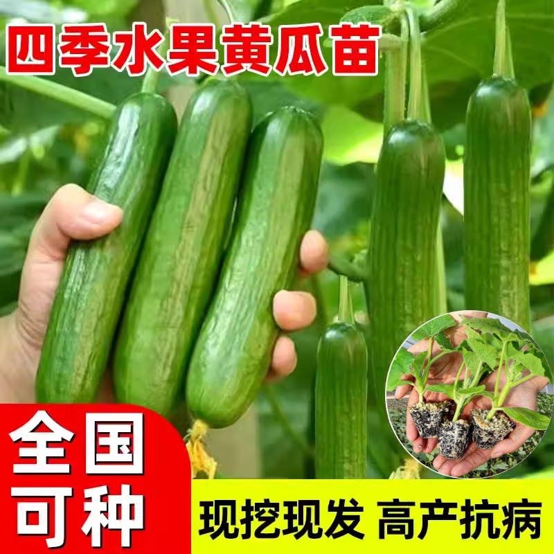 林业行业行业经济_区域经济信息_中国地区_区域 - 前瞻网