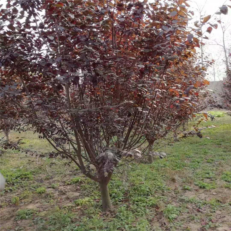 “最后一劝”法官我忘记开庭了！