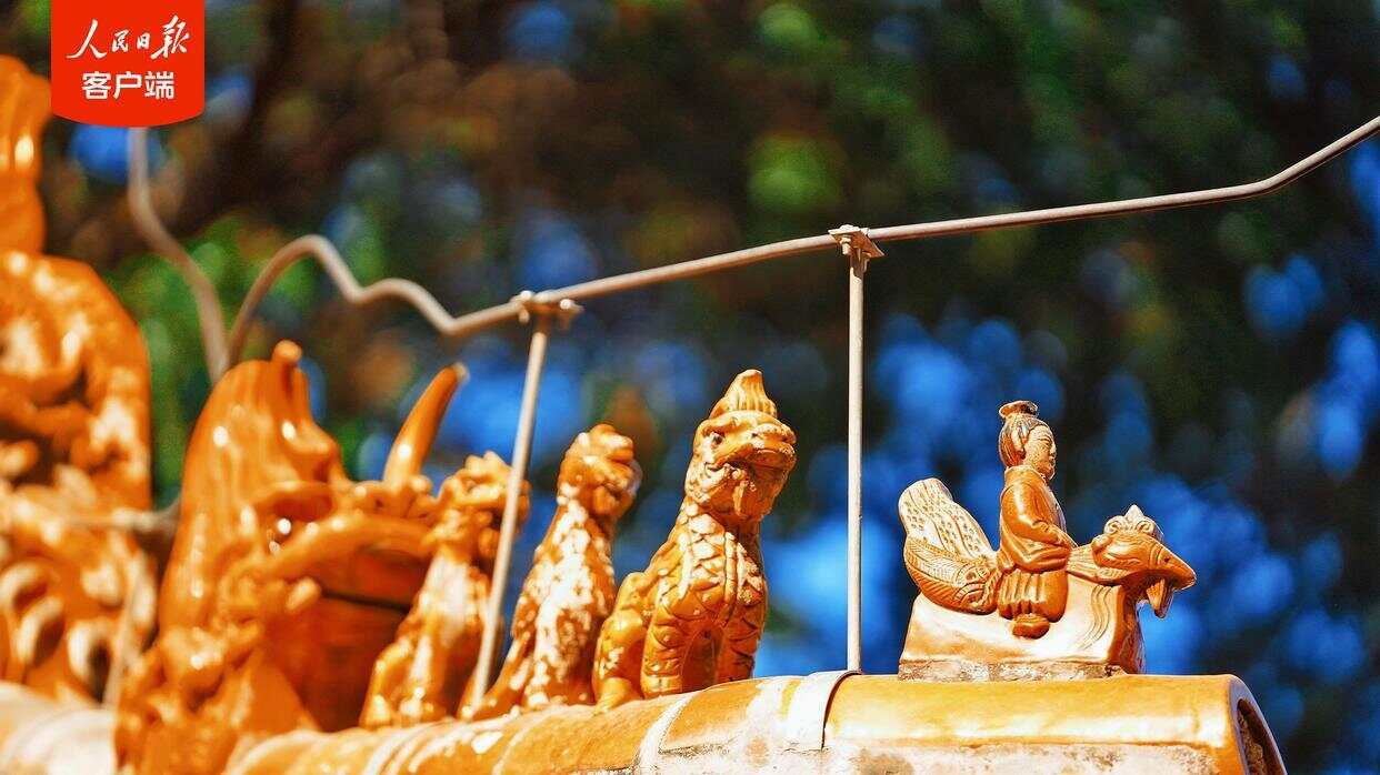 近一个世纪从未向公众开放！故宫乾隆花园重开高清美景抢先看