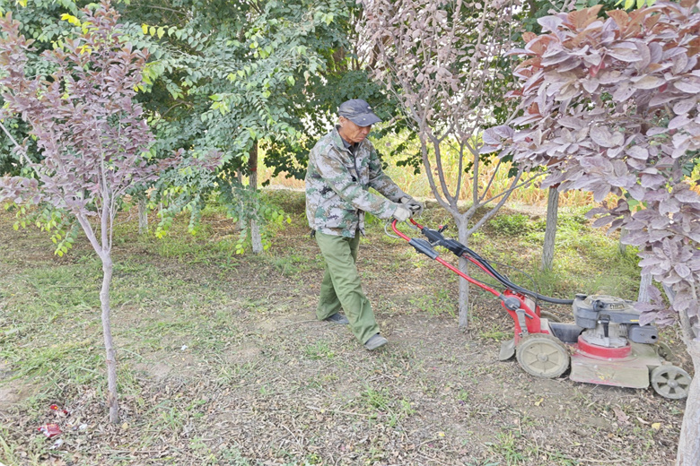 高台园林：秋季绿化养护“扮靓市容”迎国庆