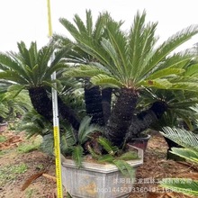首邑体育公园明日开园